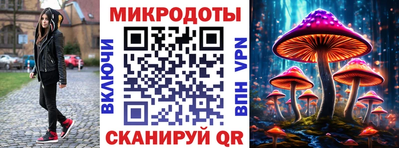 где купить наркотик  Петровск  Псилоцибиновые грибы Cubensis 